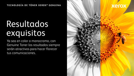 EAN 0095205862201 - Xerox 106R03860 cartucho de tóner 1 pieza(s) Original imagen 9