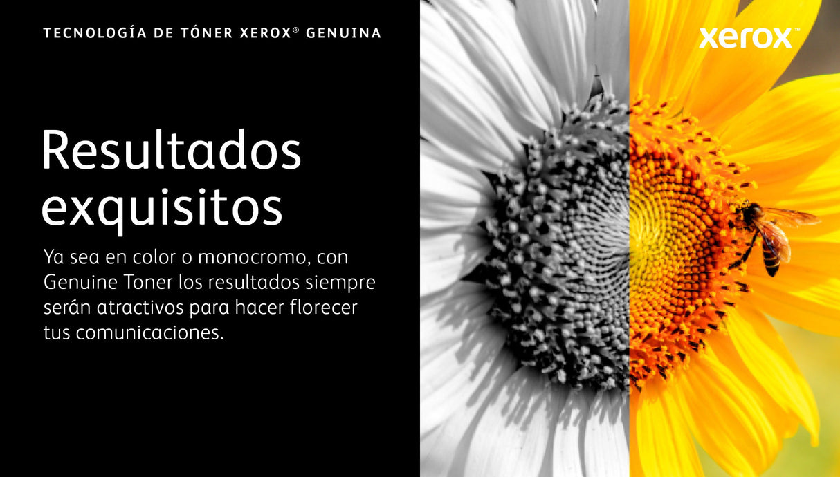 EAN 95205037999 - Xerox 006R04627 cartucho de tóner 1 pieza(s) Original imagen 8