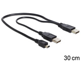 Delock Cable 2 X Usb 2.0-A Male  Usb Mini 5-Pin.30cm