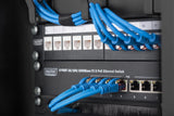 Digitus Dn-10-Org-1u-B, Panel De Gestión De Cables, Negro, 1u