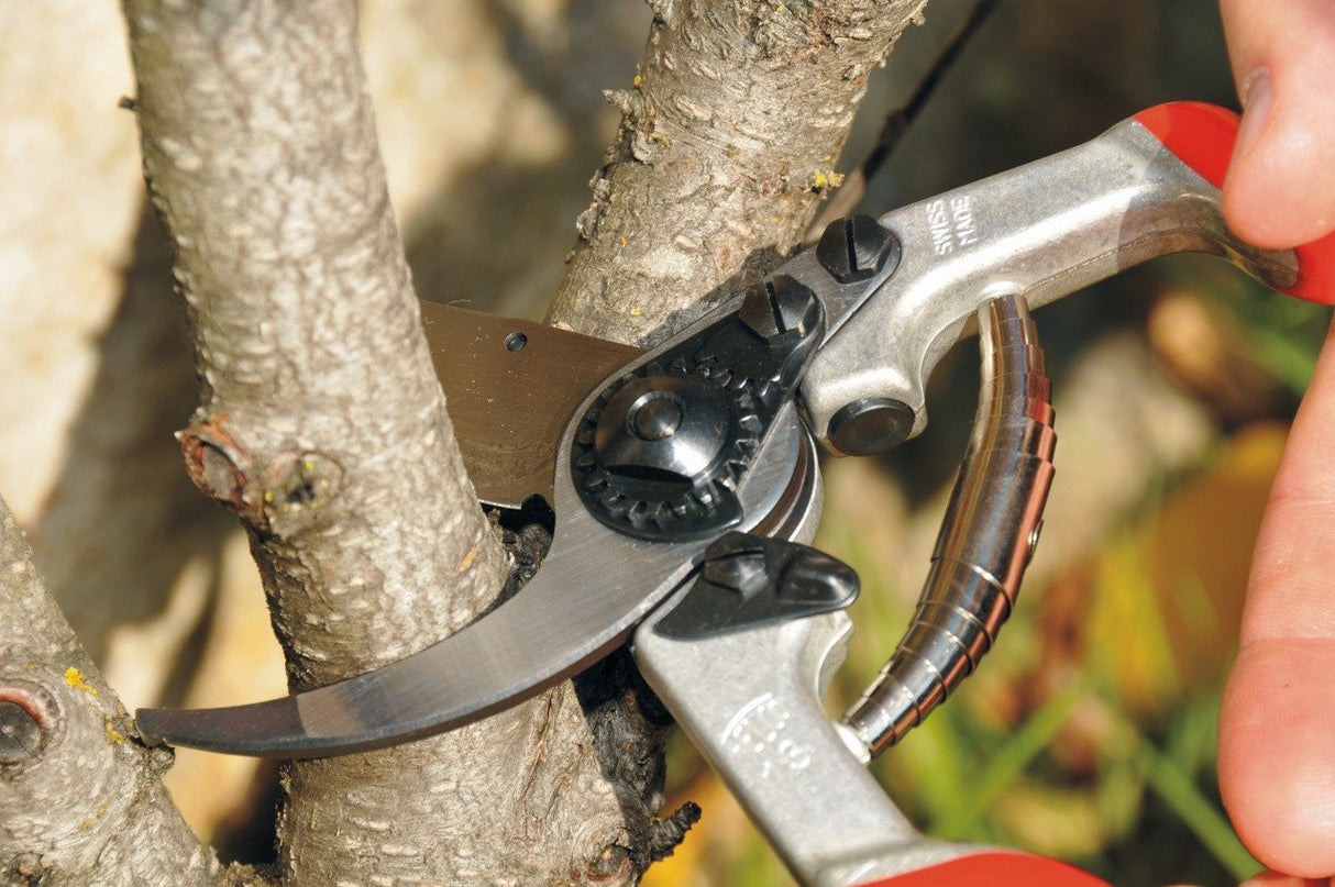 Felco 13 Classic Secateurs