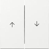 Gira 329403 Tecla Basculante 2f Pfeil System 55 Blanco Puro
