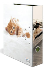 Herma Ordner A4 Karton Katze