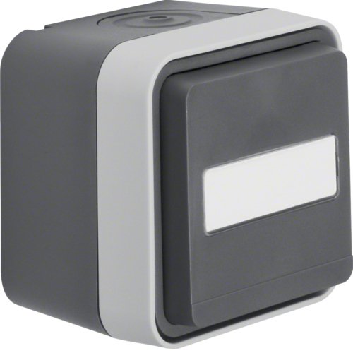 Berker 47413515 Fr-Na-Toma De Corriente Schuko Rotulable Con Tapa Abatible Ap Wd W.1