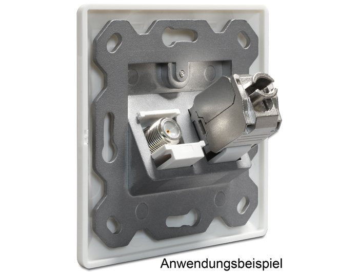 Delock Keystone Roseta 2 Puertos Keystone