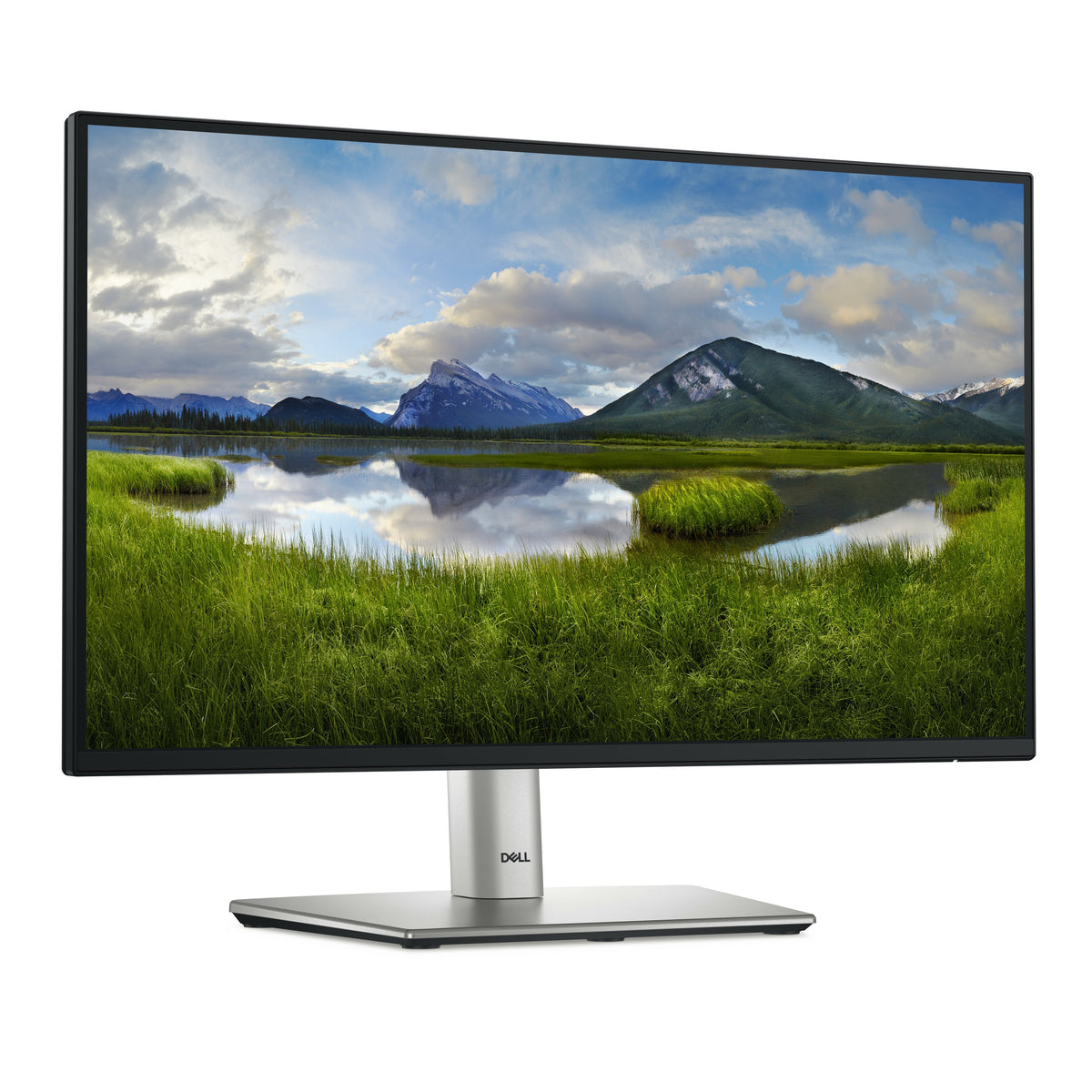 P Series P2225h Computer