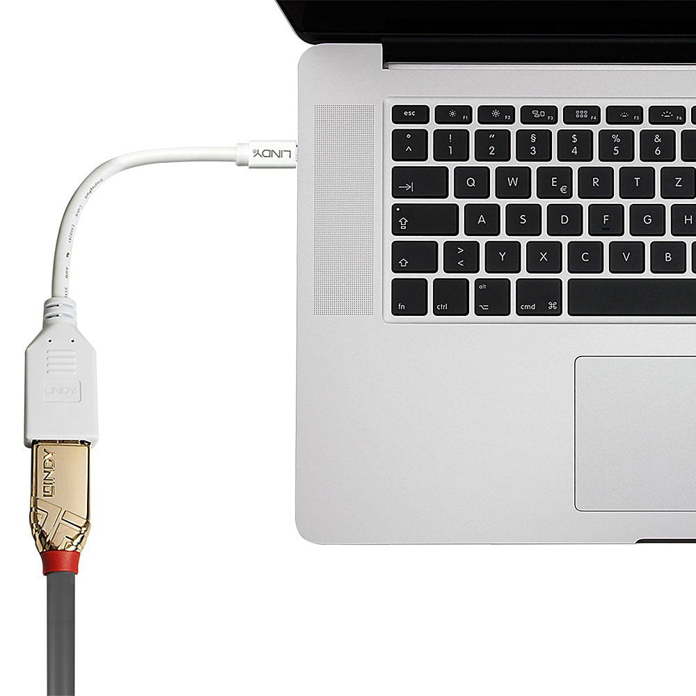 Adaptador Lindy Mini-Displayport A Displayport M / F 0,15 M