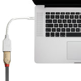 Adaptador Lindy Mini-Displayport A Displayport M / F 0,15 M