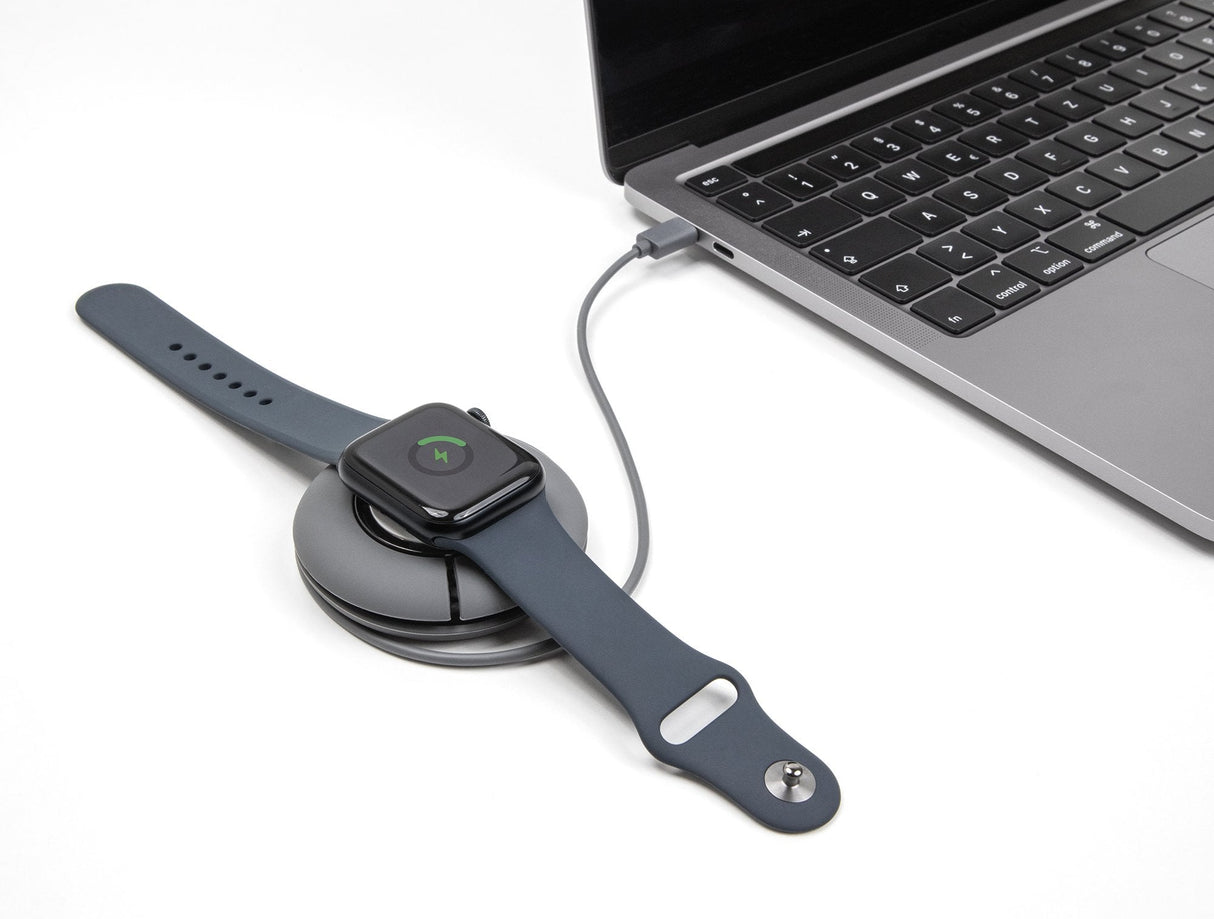 Cable Delock 83019 De Carga De Carrete Usb Type-C Para Apple Watch 1 M Gris Magnético
