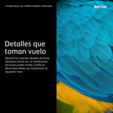Cartucho De Toner Xerox Magenta Extra Hi Cap Para Versalink C70xx (16500 Paginas, Magenta)