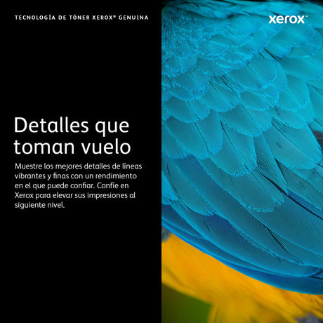 EAN 0095205736014 - Xerox 106R01294 cartucho de tóner Original Negro imagen 3
