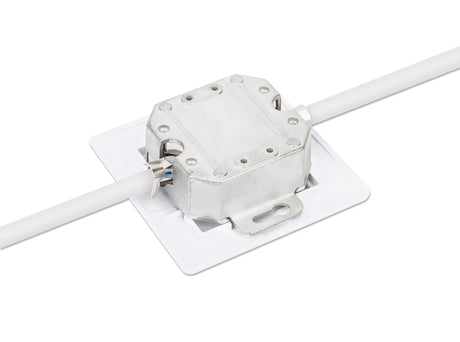 EAN 0766623771900 - Intellinet 771900 toma de corriente 2 x RJ-45 Blanco imagen 6