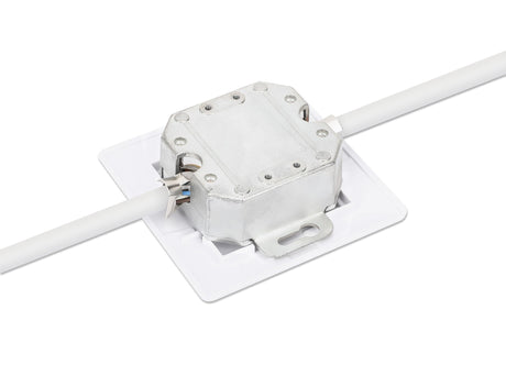 EAN 0766623771917 - Intellinet 771917 toma de corriente 2 x RJ-45 Blanco imagen 6