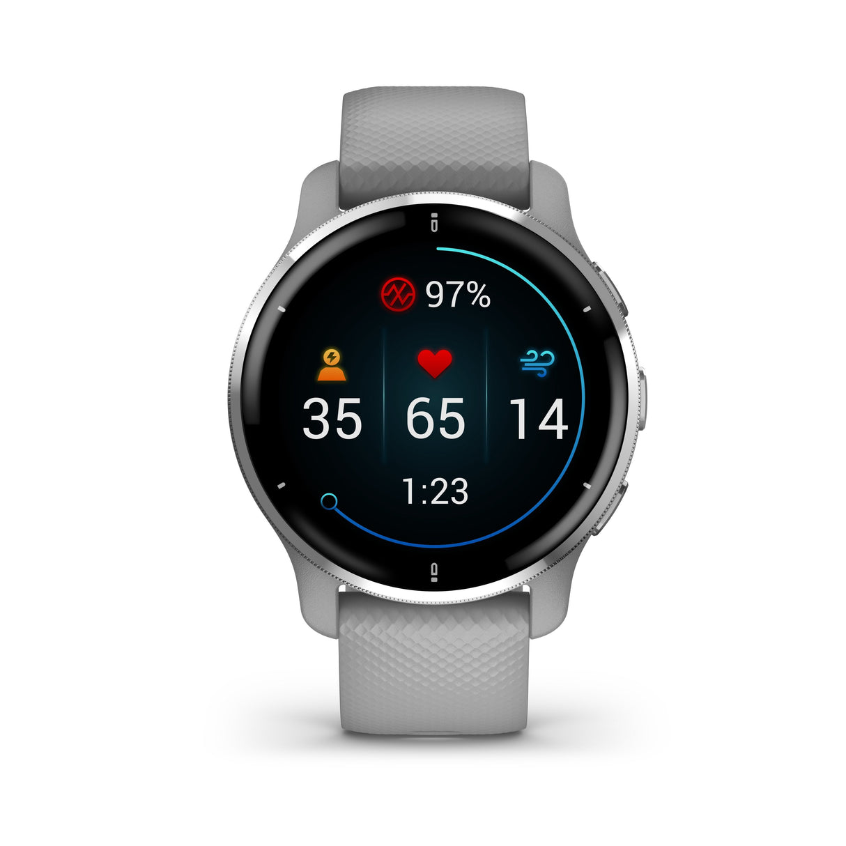Smartwatch Garmin Venu 2 Plus  Notificaciones  Frecuencia Cardíaca  Gps  Plata Y Gris