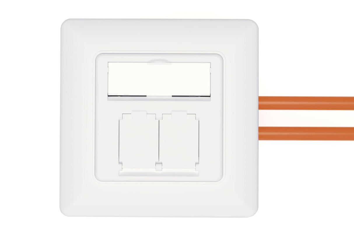 EAN 4016032485735 - Digitus DN-9010/8-2 toma de corriente 2 x RJ-45 Blanco imagen 4
