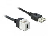 Delock Keystone Modul Usb 2.0 C Buchse > Usb 2.0 A Buchse Mit Cable