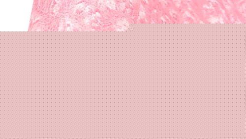 Deltaco Pmp80 Mauspad L (450x400x4 Mm) Pink