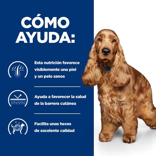 Alimento Hill'S Pd Canine Z/D 3kg