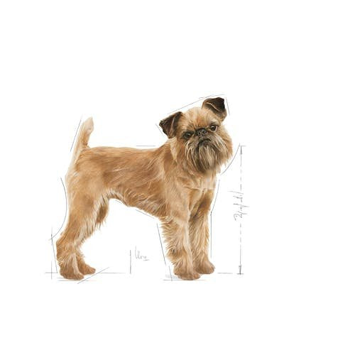 Royal Canin Mini Dental Care 3kg