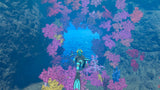 Switch Endless Ocean Luminous