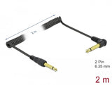 Delock Cable De Audio En Espiral 6,35 Mm 2 M Negro
