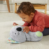 EAN 0887961911305 - Fisher-Price GRT59 juguete de peluche imagen 2