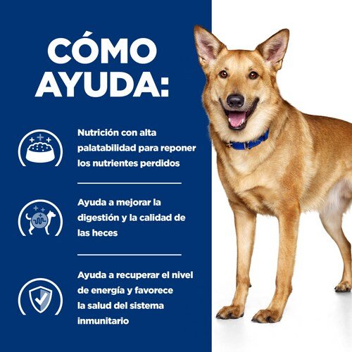 Hill'S Pd Cuidado Digestivo Canino Guiso I/D Bajo En Grasa  354 G
