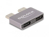 Delock 60055 Adaptador Usb 40 Gbps Usb Type-C 2 X Macho A 2 X Hembra Protector De Puerto De Metal