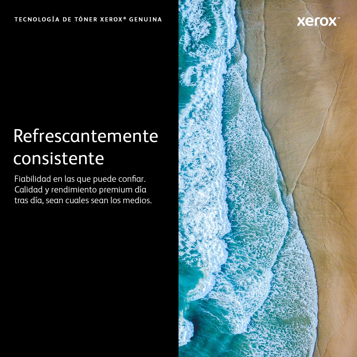 EAN 0095205883343 - Xerox 115R00143 cartucho de tóner imagen 4