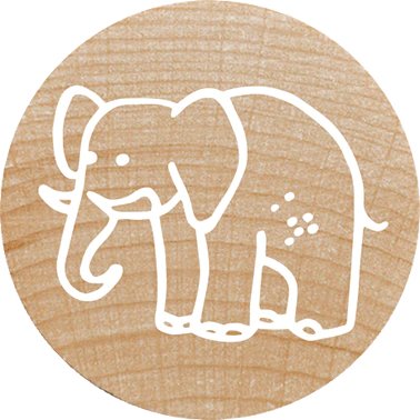 Colop Woodies Mempel-Set "Exotic Animation" Retail