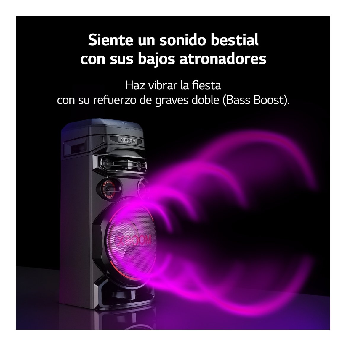 Lg Rnc7 / Altavoz De Fiesta & Karaoke