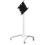 Momentum Edge Xl Interactive  Touch Screen Trolley, For