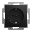 EAN 4011395360491 - Busch-Jaeger 2CKA002011A6341 placa de pared y cubierta de interruptor Negro imagen 1
