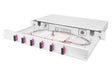 EAN 4016032343813 - Digitus DN-96320-4 accesorio de bastidor imagen 1