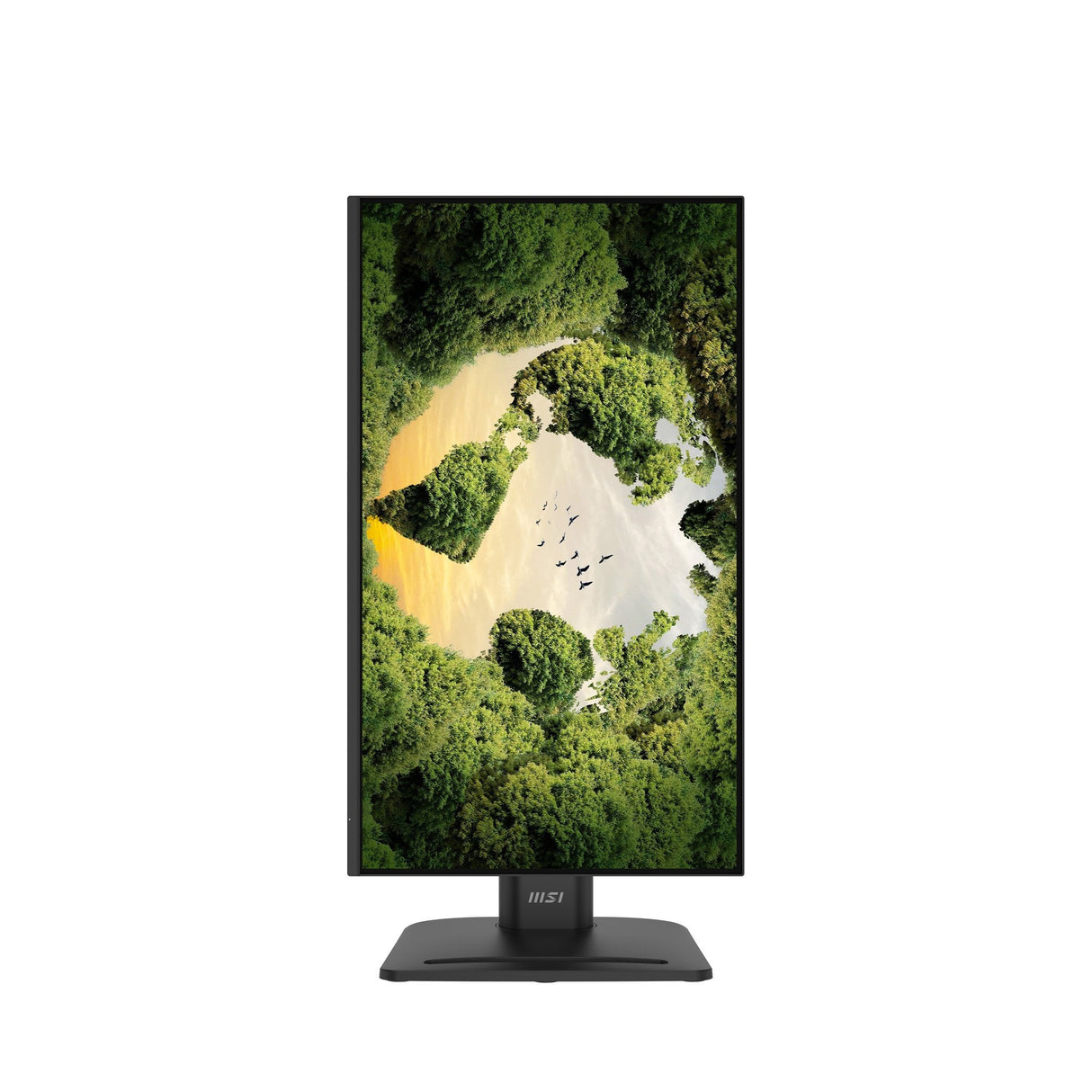 Monitor Pro Mp245phgn E14 23.8 Cala/Led/Flat/144hz/Czarny