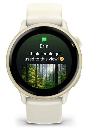 Smartwatch Garmin Vívoactive 6 Lunar Gold 42mm Gps Bluetooth  Ant+ ,Wi-Fi