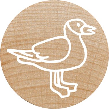 Colop Woodies Mempel-Set "Farm Animation" Retail