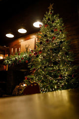 Krinner Bavaria Deluxe Xl