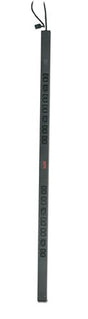 EAN 0731304207900 - APC Basic Rack PDU unidad de distribución de energía (PDU) 24 salidas AC 0U Negro imagen 1