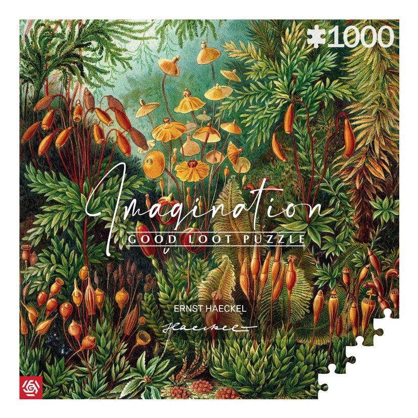 EAN 5908305239642 - Cenega Imagination Puzzle rompecabezas 1000 pieza(s) Arte imagen 1