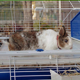 EAN 8010690172484 - Ferplast Barn 80 Rabit Gris, Blanco imagen 2