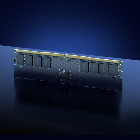 EAN 0843367132799 - Lexar LD5U32G56C46ST-BGS módulo de memoria 32 GB 1 x 32 GB DDR5 5600 MT/s 262-pin SO-DIMM ECC imagen 4