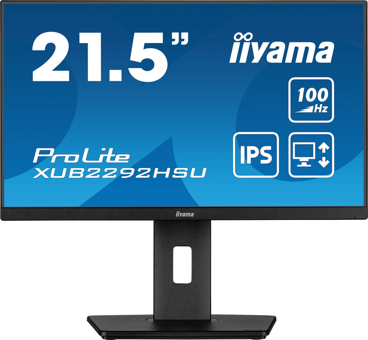 Monitor Iiyama Tft Xub2292hsu 54.6cm Ips 21.5'' 1920x1080 Hdmi Dp 4xusb Höv