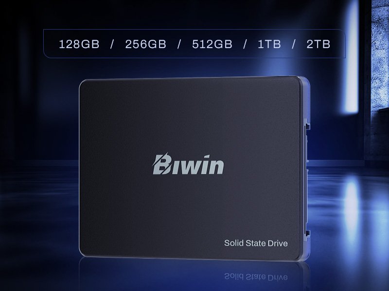 EAN 0887184025292 - Biwin M100 256 GB 2.5" Serial ATA III imagen 9