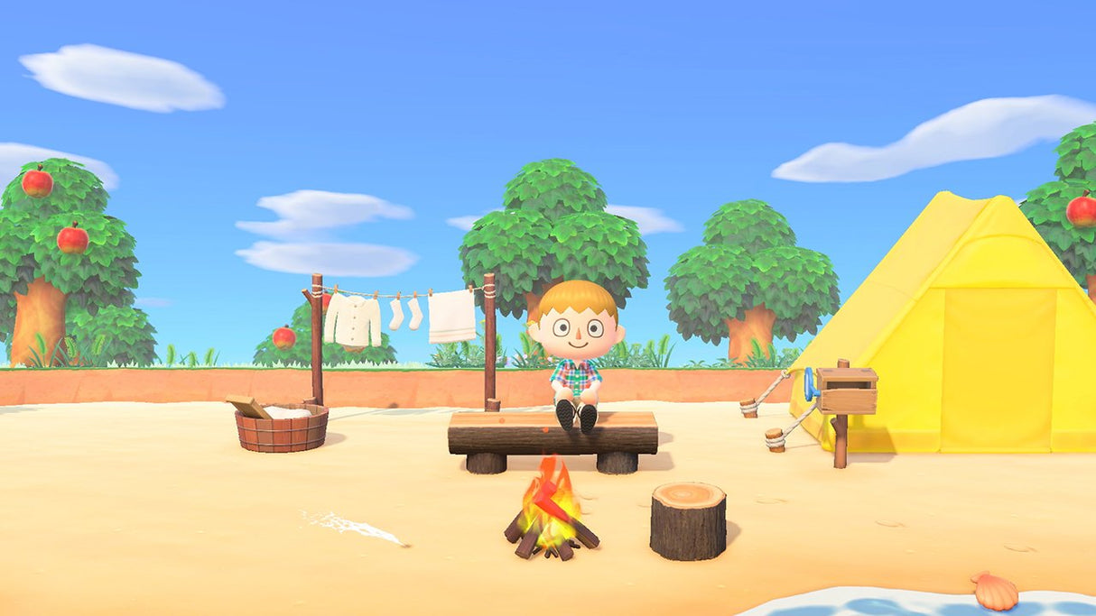 Switch Animal Crossing: New Horizons