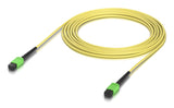 Indoor Os2 Single-Mode Fiber  Patch Cable With Mpo-12 Type