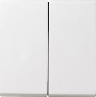Gira 029503 Tecla Basculante 2vías System 55 Reinwei Glnzend