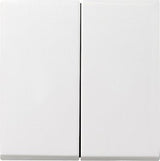 Gira 029503 Tecla Basculante 2vías System 55 Reinwei Glnzend