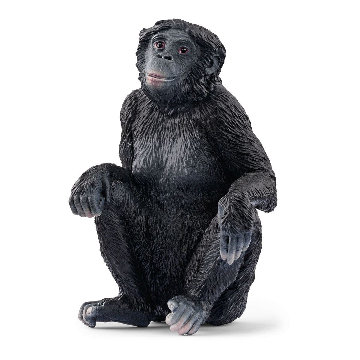 Schleich Wild Life Bonobo Hembra 14875