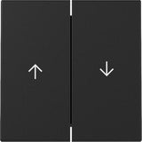Gira 3294005 Placa De Pared Y Cubierta De Interruptor Negro